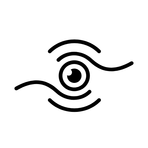 VISSIONA.png